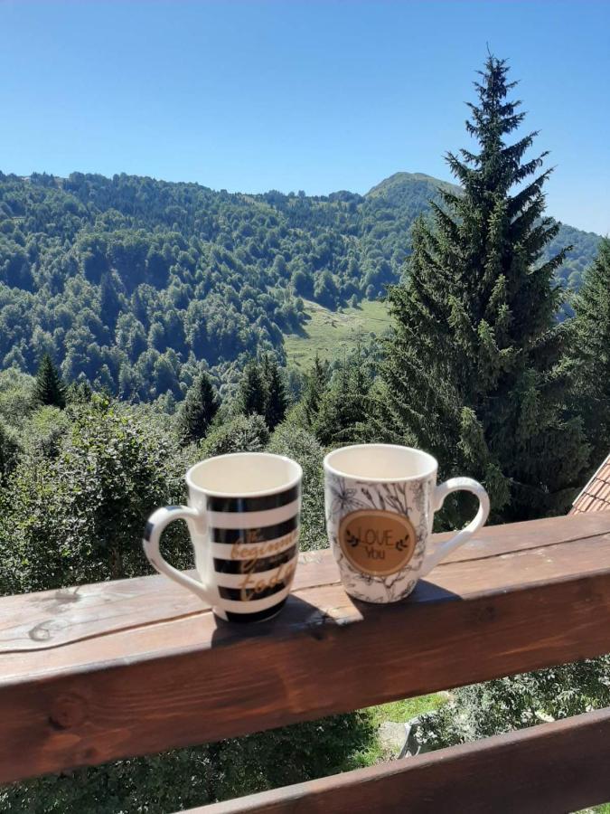 Casa Nostra Kop Villa Kopaonik Buitenkant foto